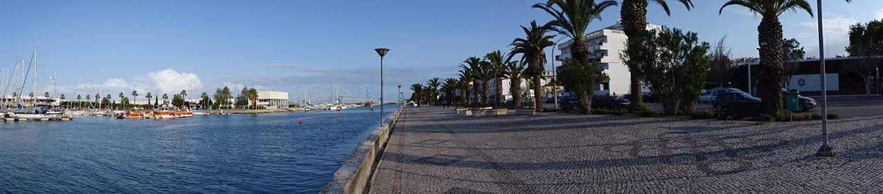 Spacious With Huge Terrace And Swimming Pool *