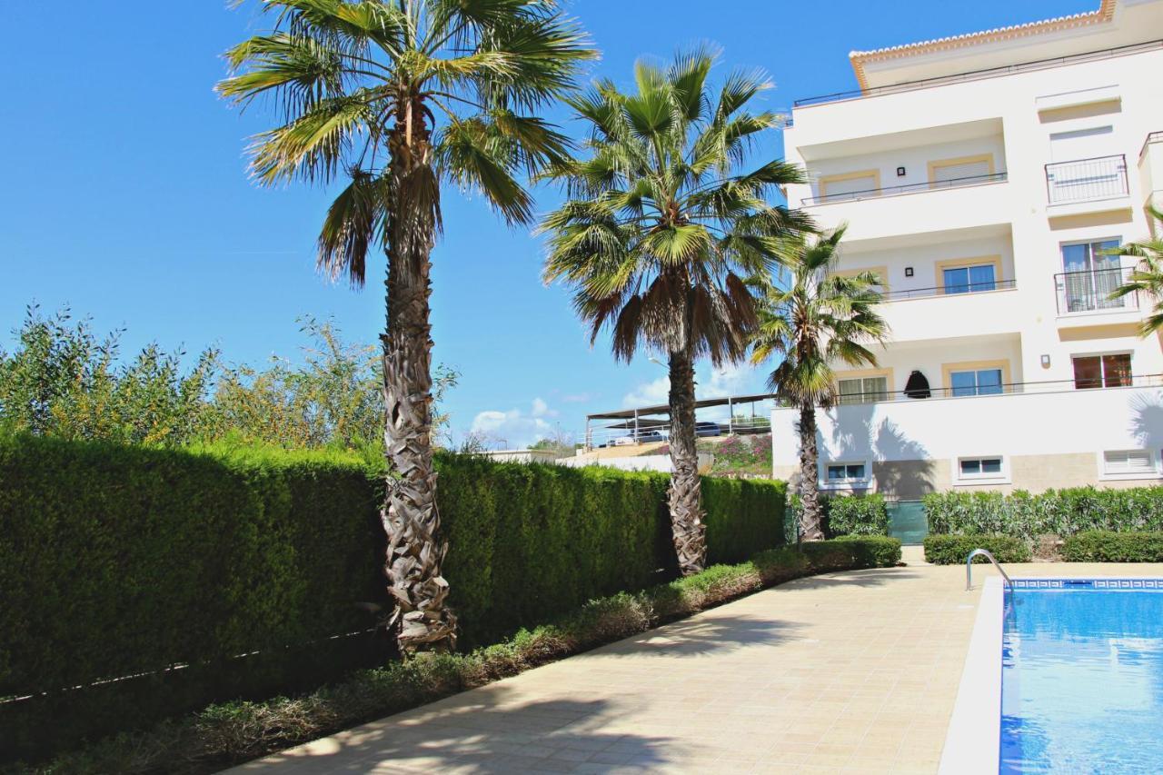 Spacious With Huge Terrace And Swimming Pool Apartment