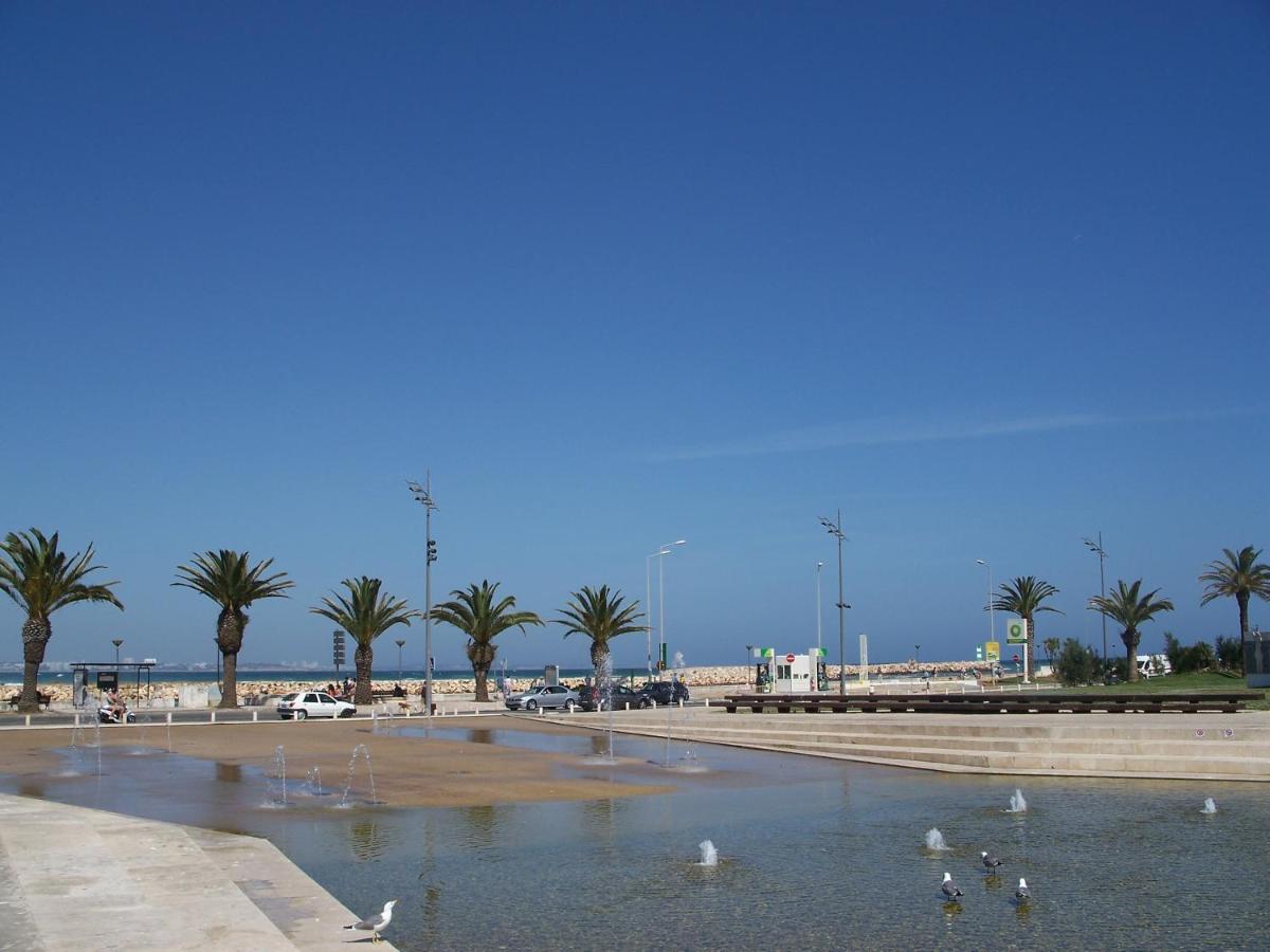Spacious With Huge Terrace And Swimming Pool Apartment